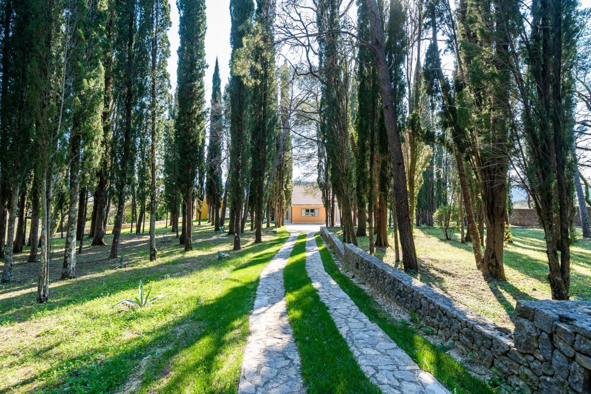Vila Agava, Konavle Gruda ภายนอก รูปภาพ